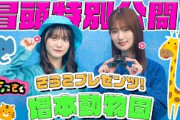 【#増本綺良 園長考案のゲームでバトル！】ちょこさく きらこプレゼンツ！増本動物園 冒頭特別公開