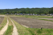 山奥でひっそり生きていきたいんだが・・・