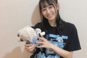 【朗報】向井葉月さん、ほんまに可愛いwwwwwwww
