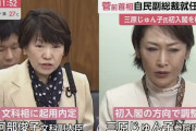 三原じゅん子、初入閣