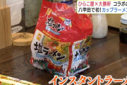 プロラーメン製作者「プロが作ればインスタントラーメンでも必ず美味しくなる」
