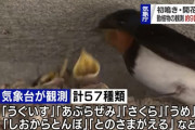 気象庁、昭和28年から70年以上続いた季節動植物観測の９割を廃止へ