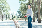 犬の散歩中に勝手に犬を撫でようとする人は何なの？うちの犬はまだ気性も荒いからやめてほしい…