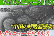 【中国で大流行】ヒトメタニューモウイルス（HMPV）感染爆発・・・40～80歳の突然死が顕著に増加、病院や火葬場がパンク