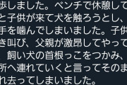 【悲報】「ウチのトイプードル が公園で子供噛んだら親に連れ去られたギャオン！！」