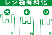 【衝撃】進次郎「何でレジ袋の有料化がワイのせいになっとんねん…」←これｗｗｗｗｗ