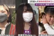 ドーベルマン盗んだ疑い　容疑者は動物保護団体だった　3人逮捕