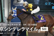 【豪華メンバー】 12/30(木) 大井10R 第15回 東京シンデレラマイル(SⅡ) 発走16:30