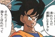 【ドラゴンボール】孫悟空とかいう宇宙最強のクセにオリジナル技が全く無い男