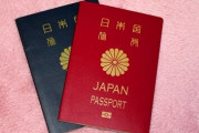 【悲報】日本人のパスポート保有率17%に低下の衝撃…