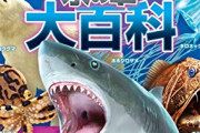 【朗報】5才児「あれ？表記が違うぞ」