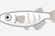 【天才】メダカスレ民さん「原種メダカが絶滅しそうなら、みんなで爆殖させて放流すればいいんじゃね？」