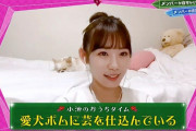 【欅坂46】ハライチ澤部さん、小池美波の愛犬に「馬鹿だから出来ないか。」と煽った結果・・・