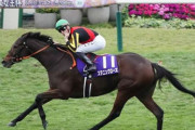 スタニングローズ　有馬記念へ