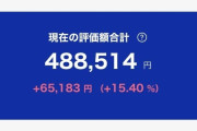 積立NIISA「ほぼお金増えます」「何もしなくて良い」「知識入りません」←こいつが流行らない理由