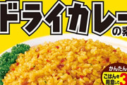 ドライカレー「お前らナチュラルに遺伝子レベルで俺のこと見下してるよな？」