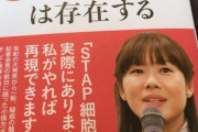 【悲報,】小保方晴子さん（３６）、平穏を求めるもまだ追われ続ける・・・
