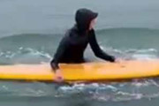 サーファーたちが波乗りを楽しんでいた。ボクも乗せて♪ → 人懐っこい野生の子供はこうします…