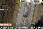 ブタ10数匹が高速道路に逃げ出す…　約100匹積んだトラックが横転事故