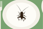 【衝撃】コオロギ食の騒動、誰も覚えていないｗｗｗｗｗ