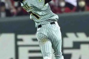 【阪神】中野拓夢が攻守で貢献　７回内野安打に８回坂倉の後方への飛球をジャンピングキャッチ！