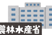 【農水省・備蓄米玄米60キロ当たり】1万1556円で売り渡すと発表した…