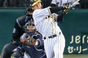 陽川(阪神) .257 8本 23打点 OPS.807