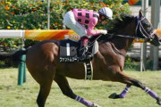 【競馬予想】[1]第57回共同通信杯(GIII) /2023
