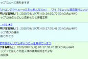 【悲報】バチャ豚、叩かれすぎて日本に絶望！反日になってしまう…