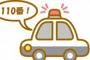 【悲報】だいたひかる、ブログから虐待通報で警察が訪問