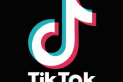 【悲報】TikTokの米欄、バカすぎるｗｗｗ