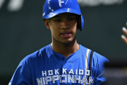日本ハム万波中正が登録抹消...進藤勇也が1軍昇格