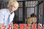 【速報】YouTuberさん、クソデカい猫を飼ってしまう