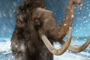 【朗報】 絶滅したマンモス、ミートボールで復活