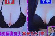 【画像】天然お胸と偽物お胸の見分け方ｗｗｗｗｗｗｗｗｗ