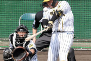 阪神1号・大山悠輔さんシート打撃で特大の一発！　馬場の変化球を会心打