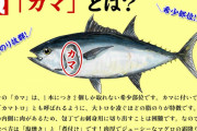 魚のカマ（味:SSS コスト:S 食べやすさ:E ）
