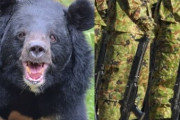 自衛隊はクマを撃てるのか？ 元自衛隊レンジャー弁護士が語る“出動の現実” 「クマは銃剣で倒せます」