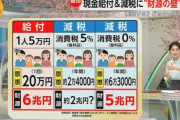 食料品消費税ゼロ、給ふ金の方が良かった模様WWWWWWWWWWWWWWWWWWWWWW