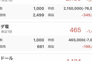 株やってるやつ含み損いくら？ｗｗｗｗ