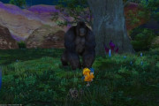 【FF14】アルファとプチオメガ、サベネア島のゴリラと仲良くなるｗｗｗｗｗｗｗ