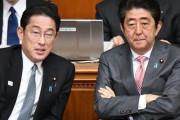 【謎】岸田首相「消費税を減税したら買い控えが起こる」