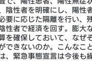 小沢一郎「国民一斉検査で、陽性患者、陽性無症状者、陰性者を明確にする。なぜそれができないのか」