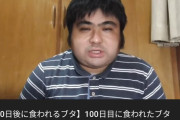 【朗報】「100日後に食われるブタ」さん、生き返るｗｗｗｗｗｗｗｗｗｗｗｗｗｗｗ