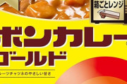 【悲報】ボンカレー、値上げへ