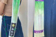 買い物帰りの長ネギの邪魔さは異常 |  半分に切って売ればいいのに
