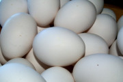 卵って常温保存なんだな