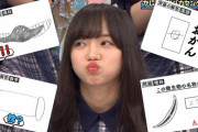 【日向坂46】ひらがな推し学力テストの点数一覧がこちらｗｗｗｗｗｗｗｗｗｗ