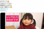 【韓国】 「汚い日本人、日本に帰れ」…いくら日本が嫌いでも二歳の女の子に悪質な書き込みテロなんて