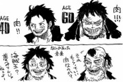 【ONEPIECE -ワンピース】ルフィ(35歳 無職)「そうか…俺たちが今まで冒険していたのは仮想現実の世界だったのか…」